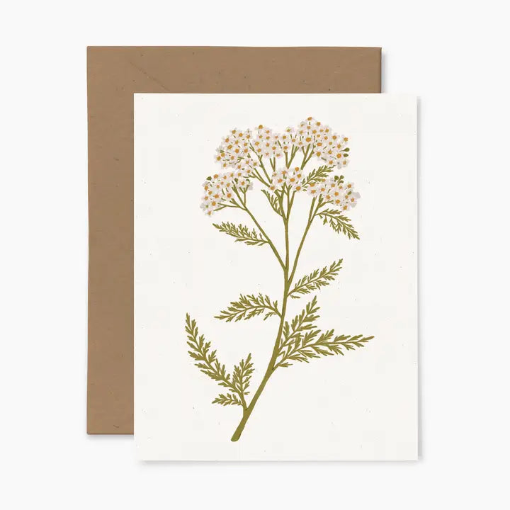 Yarrow Greeting Card