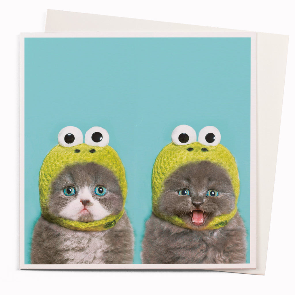 Cat Frog Photography Humour Greeting Card