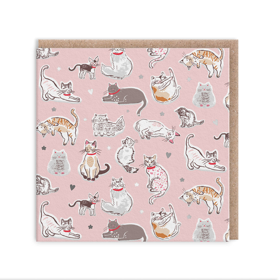 Cats Greeting Card