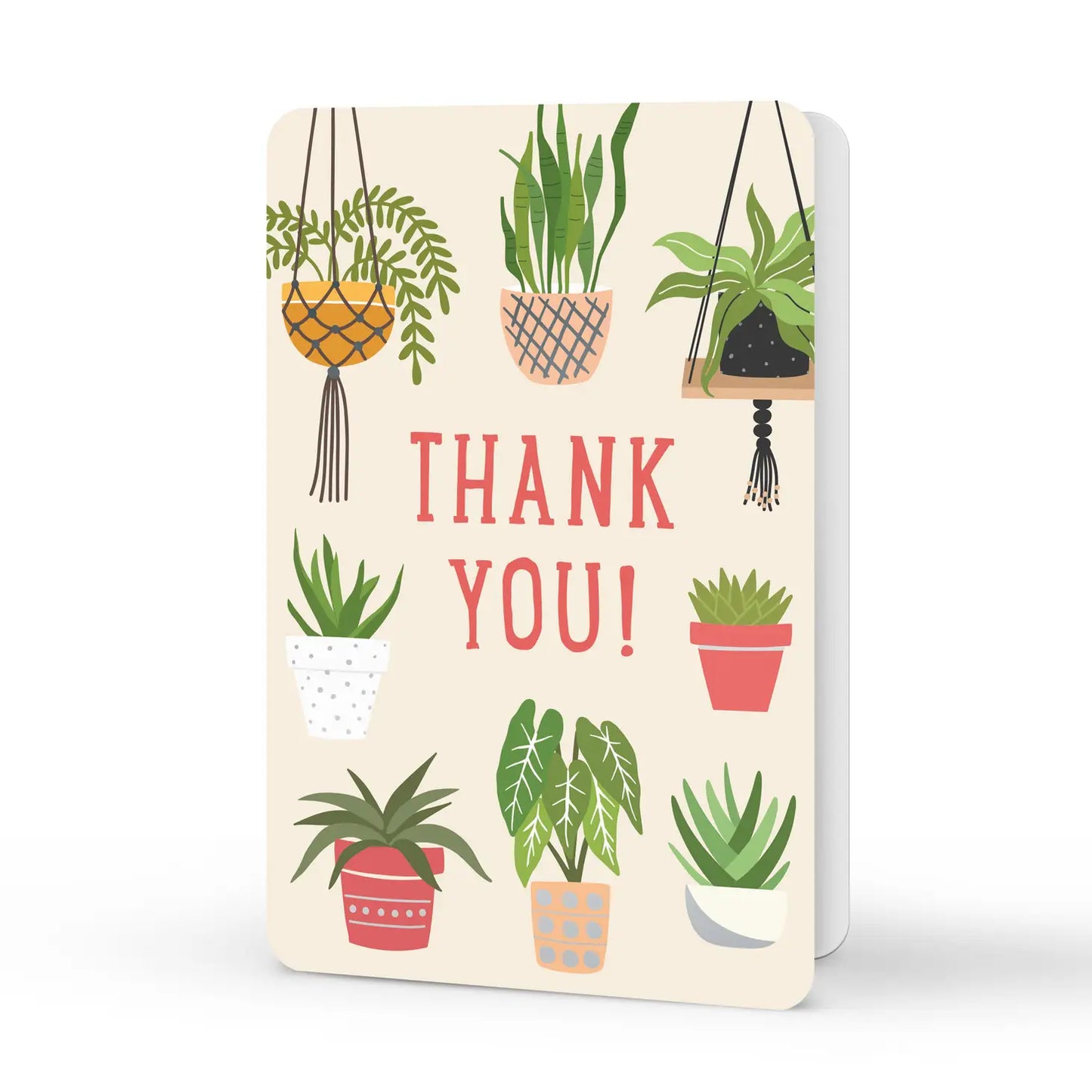 Grow with Me Thank You Boxed Cards