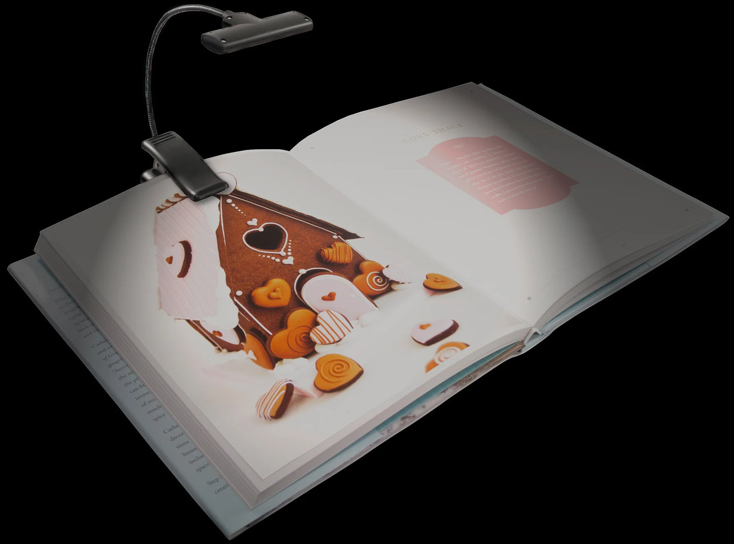 Moonbeam Clip On Reading Light