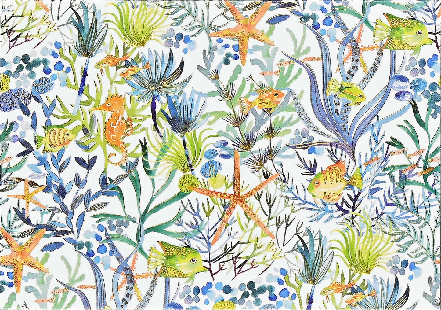 Ocean Dream Blank Boxed Note Cards