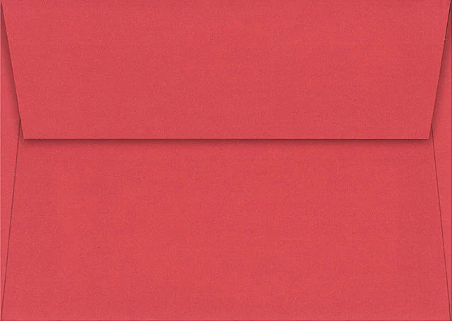 Winter Tracks Holiday Half Boxed Cards