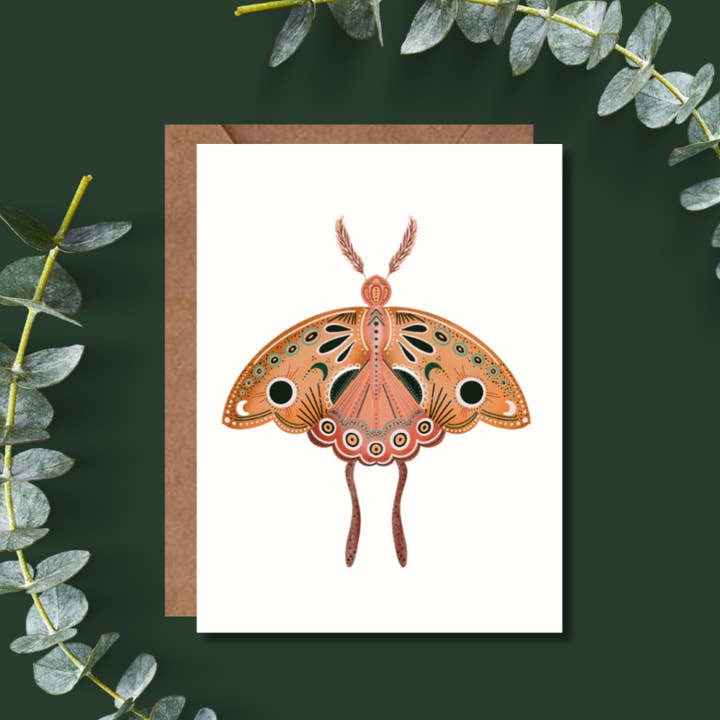 Amy Thompson's Moth Greeting Card