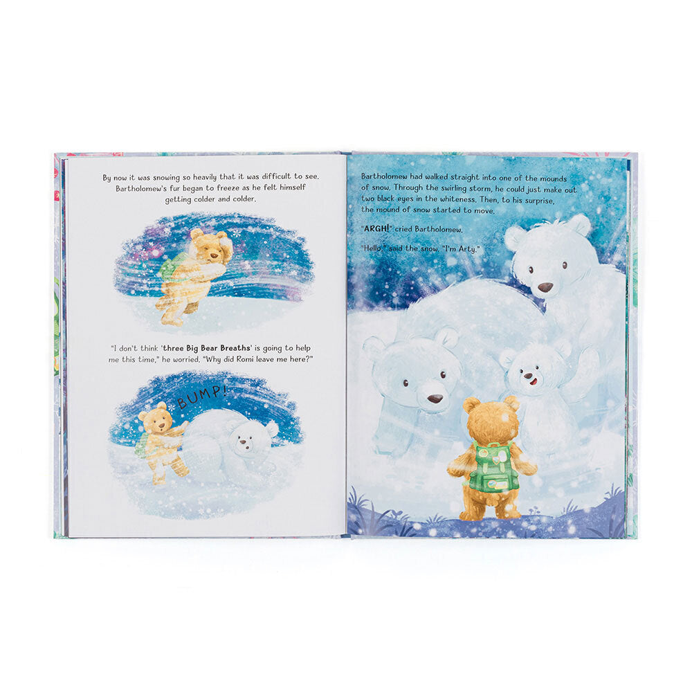 Bartholomew Bear and the Snow Book