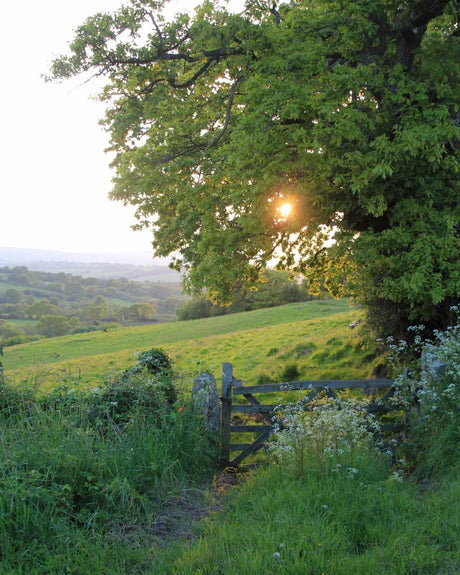 Countryside Classic Candle (9 oz.)