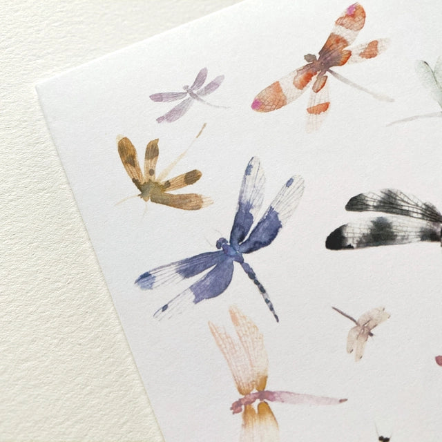 Dragonflies Art Card