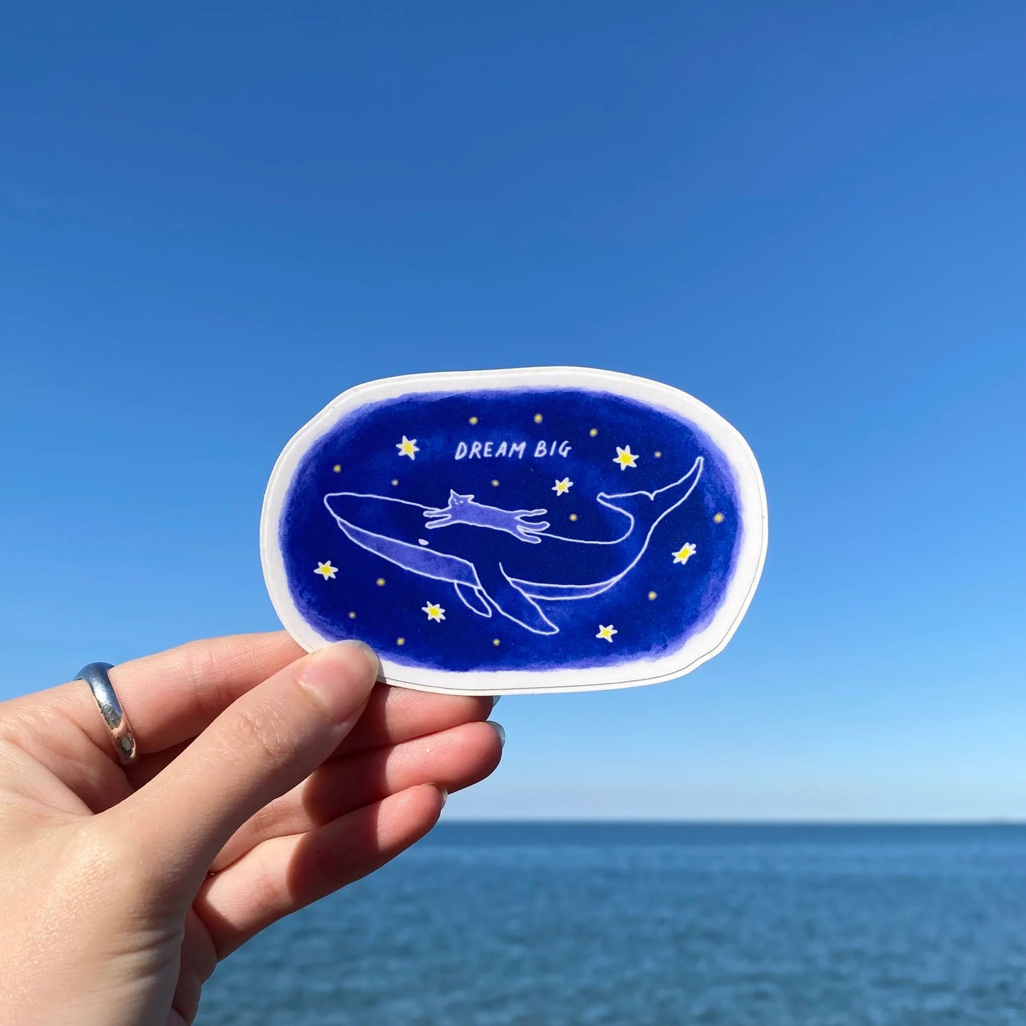 S41 Dream Big Sticker