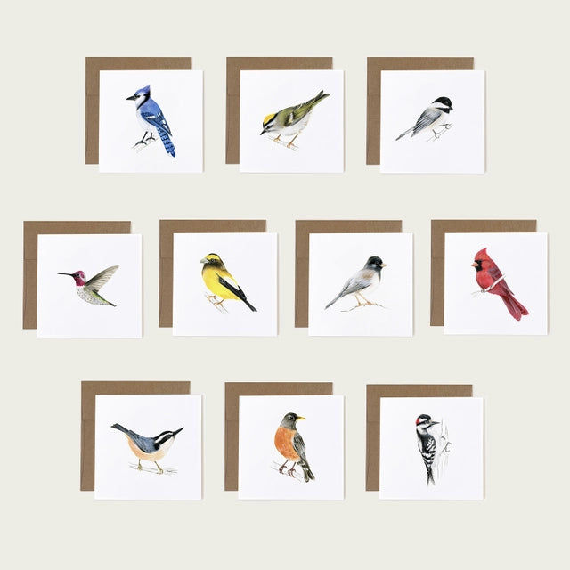 Garden Birds Card Set