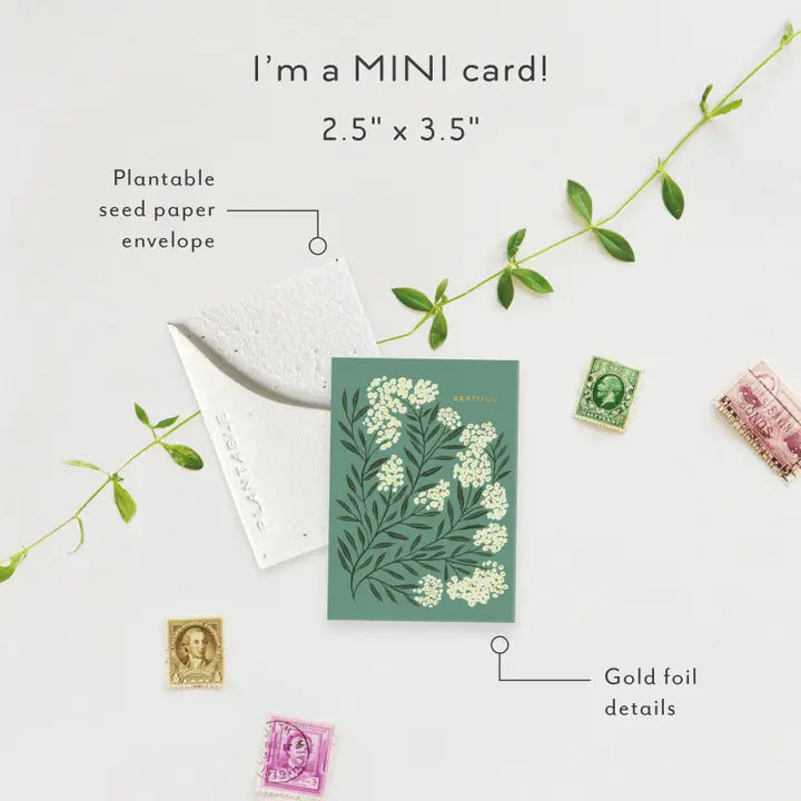 Grateful Sprout Mini Greeting Card