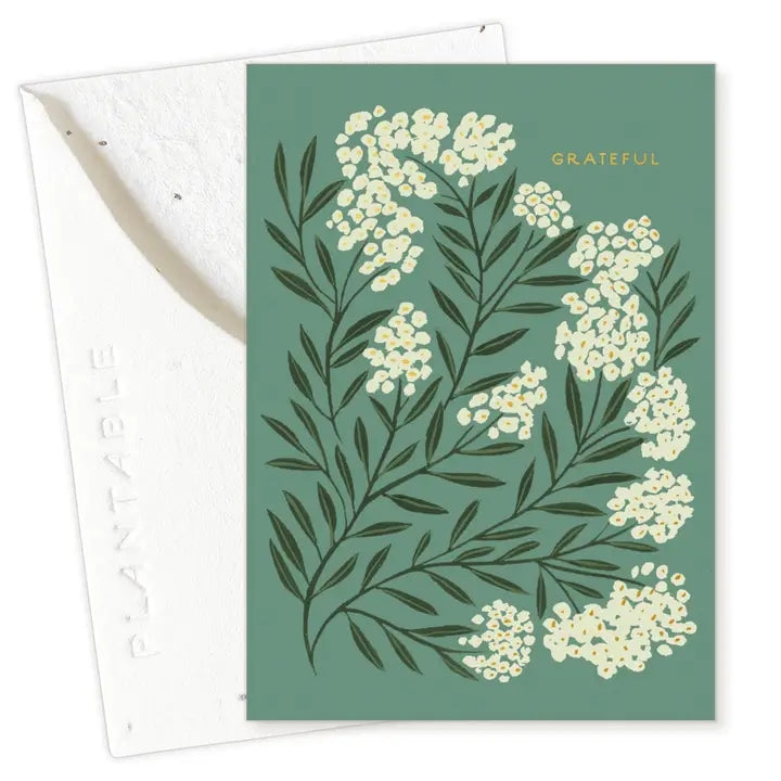 Grateful Sprout Mini Greeting Card