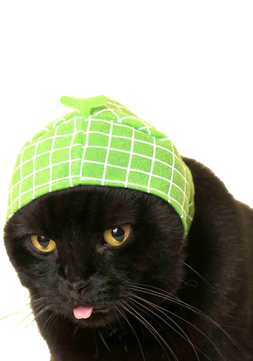 Cat Cap (Fruit)