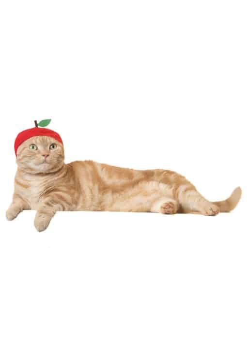 Cat Cap (Fruit)