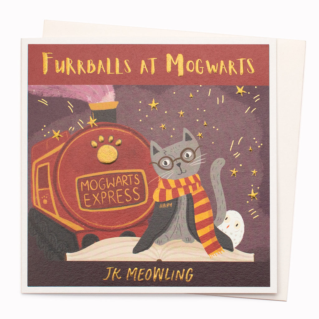 Mogwarts Book Pun Greeting Card