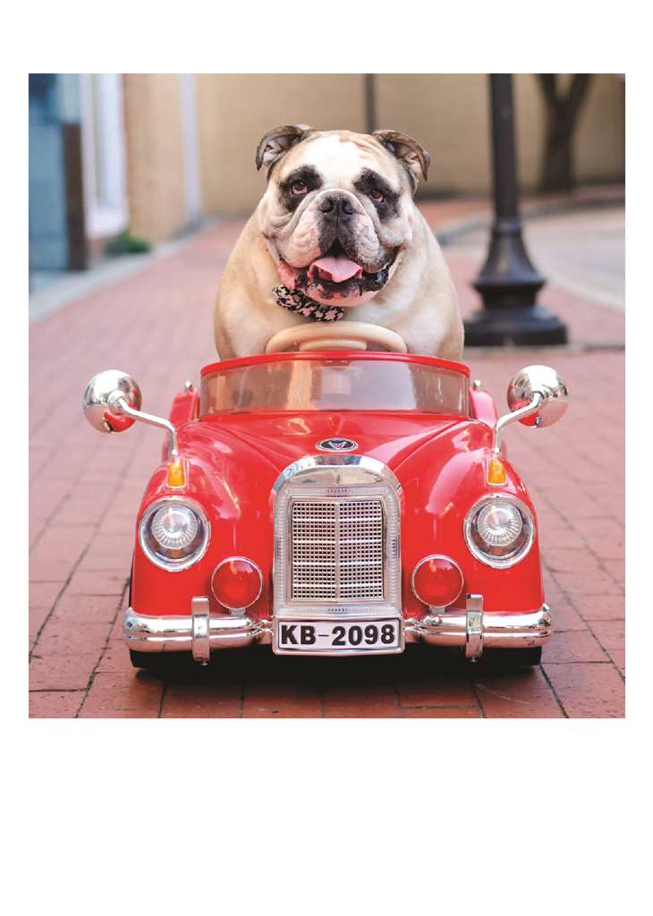 Beep Beep Card