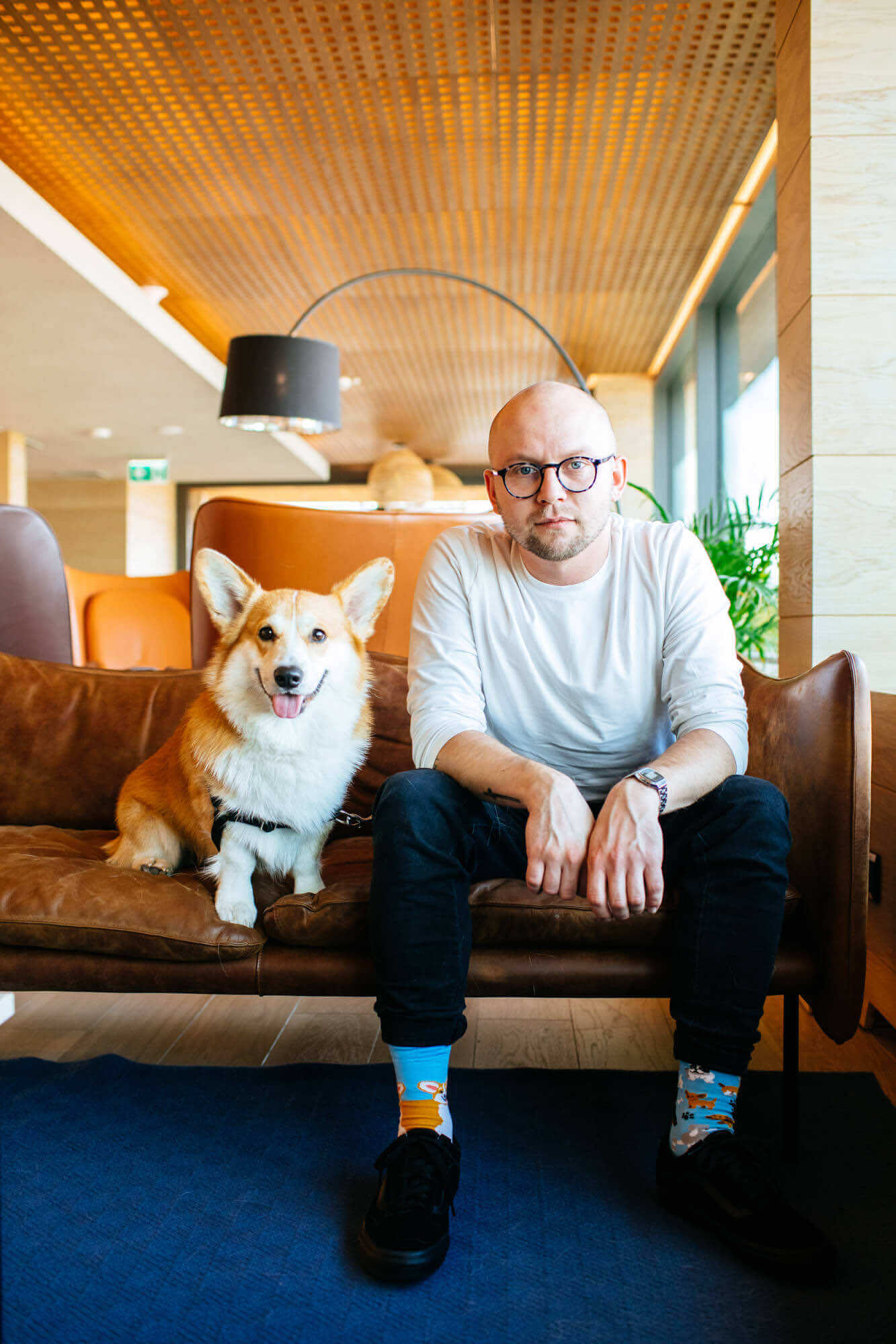 Playful Dog Crew Socks