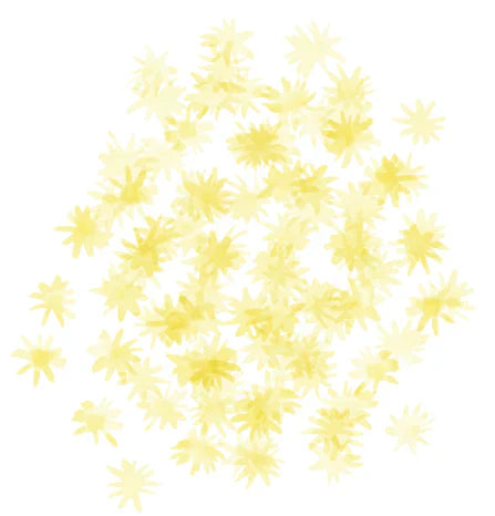 Shupatto Compact Reusable Bag Medium Hana