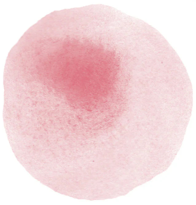 Shupatto Compact Reusable Bag Medium Momo