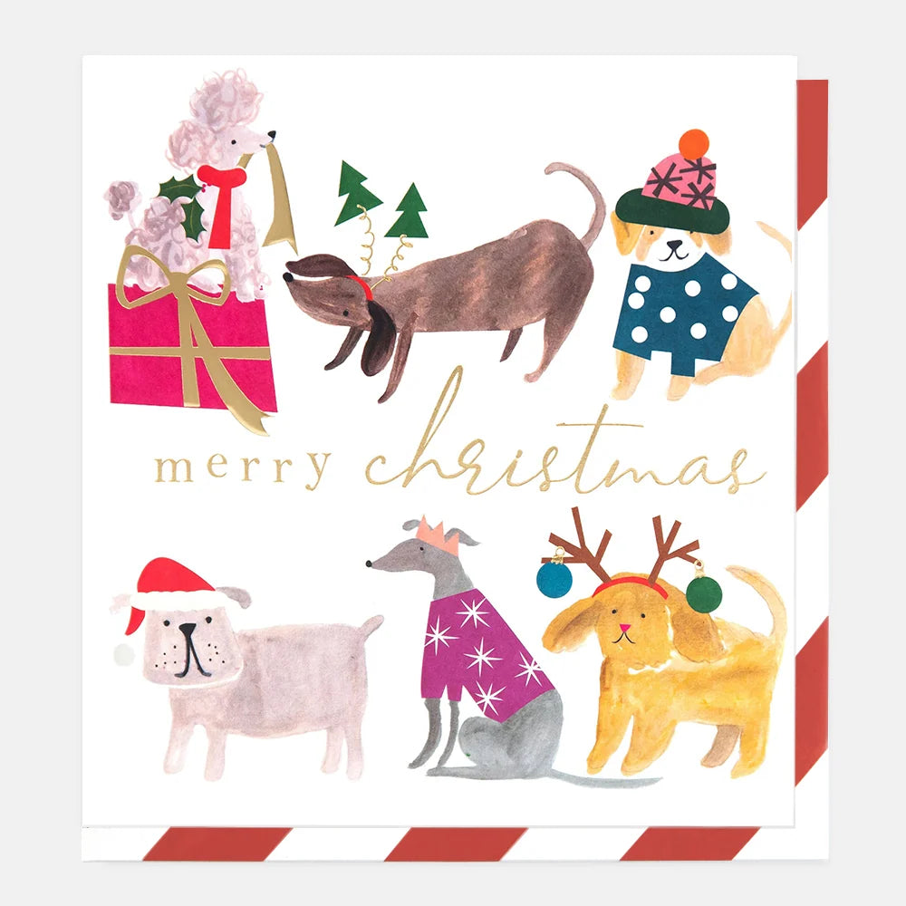 Merry Christmas Dogs Card