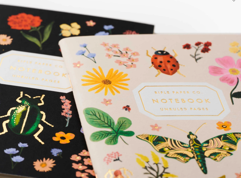 Curio Pocket Notebook Set of 2