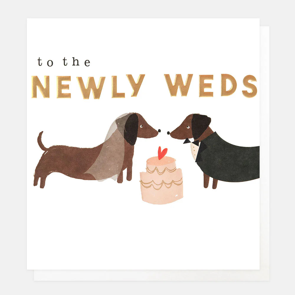 Newly Weds, Dogs And Cake Card