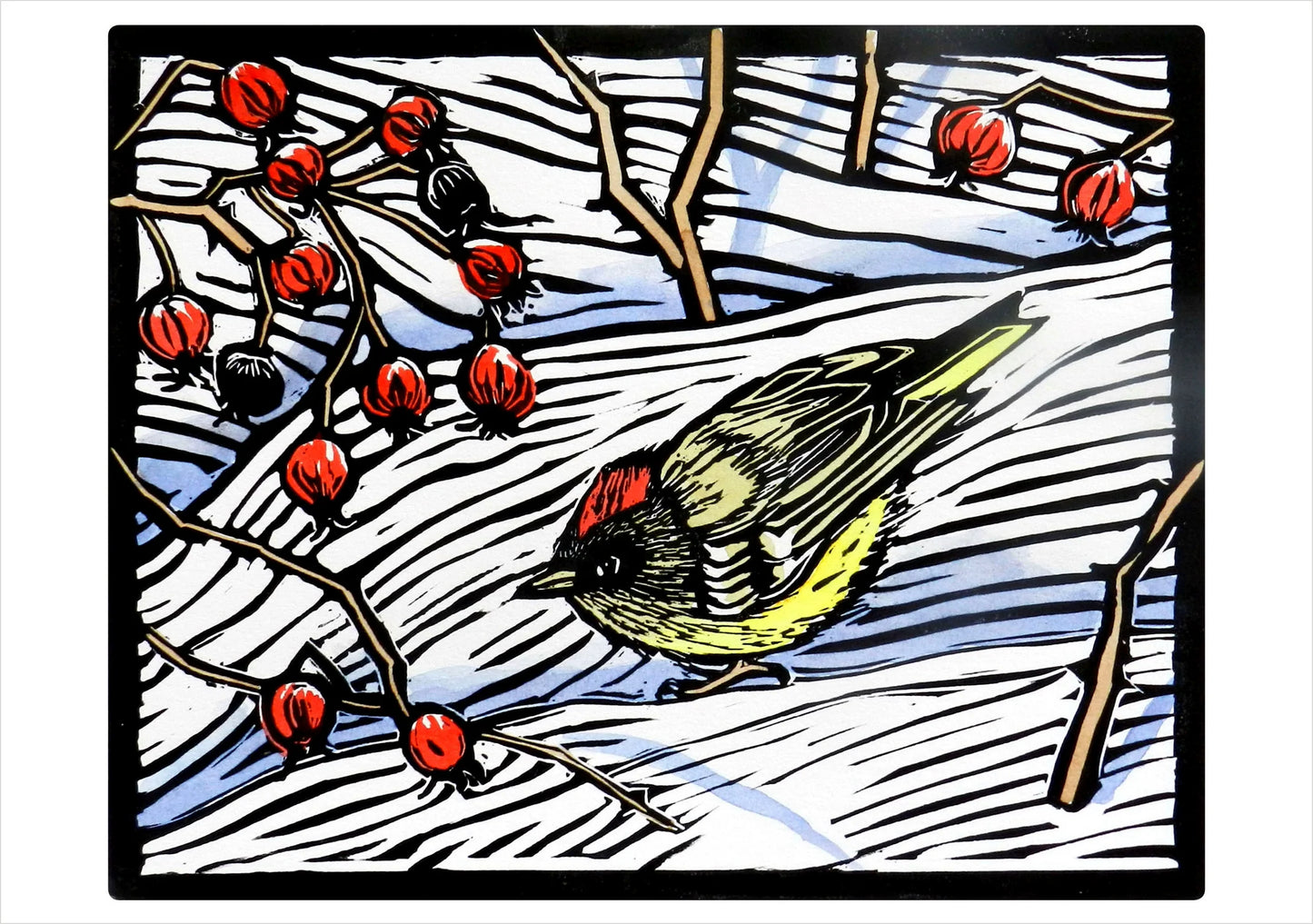 Molly Hashimoto Winter Birds Assorted Holiday Boxed Cards