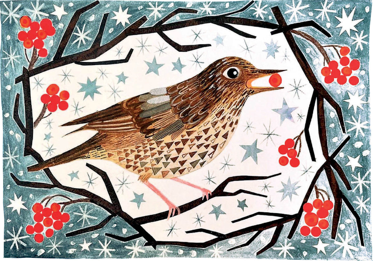 Song Thrush With Berries Boxed Holiday Cards