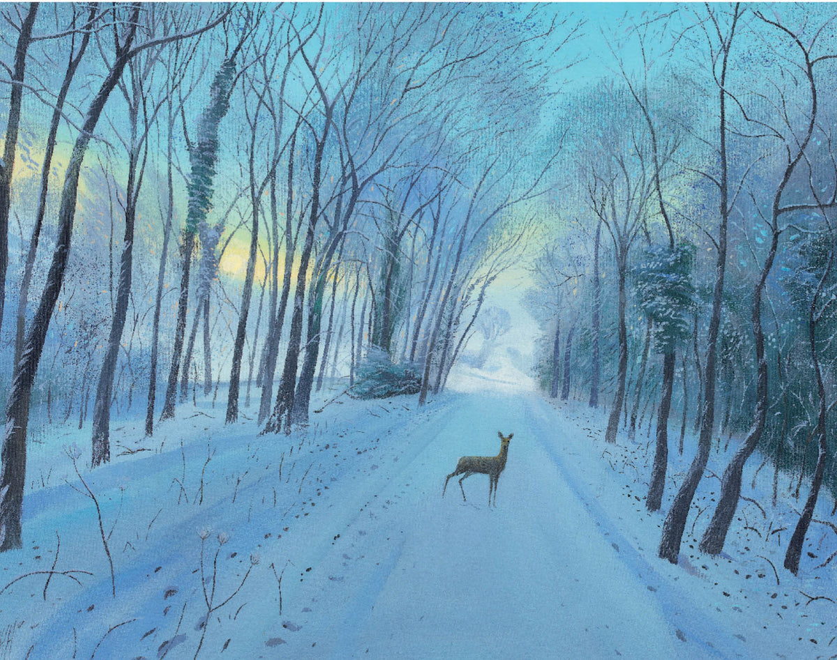 Snow In The Morning Near Everley Hill Boxed Holiday Cards