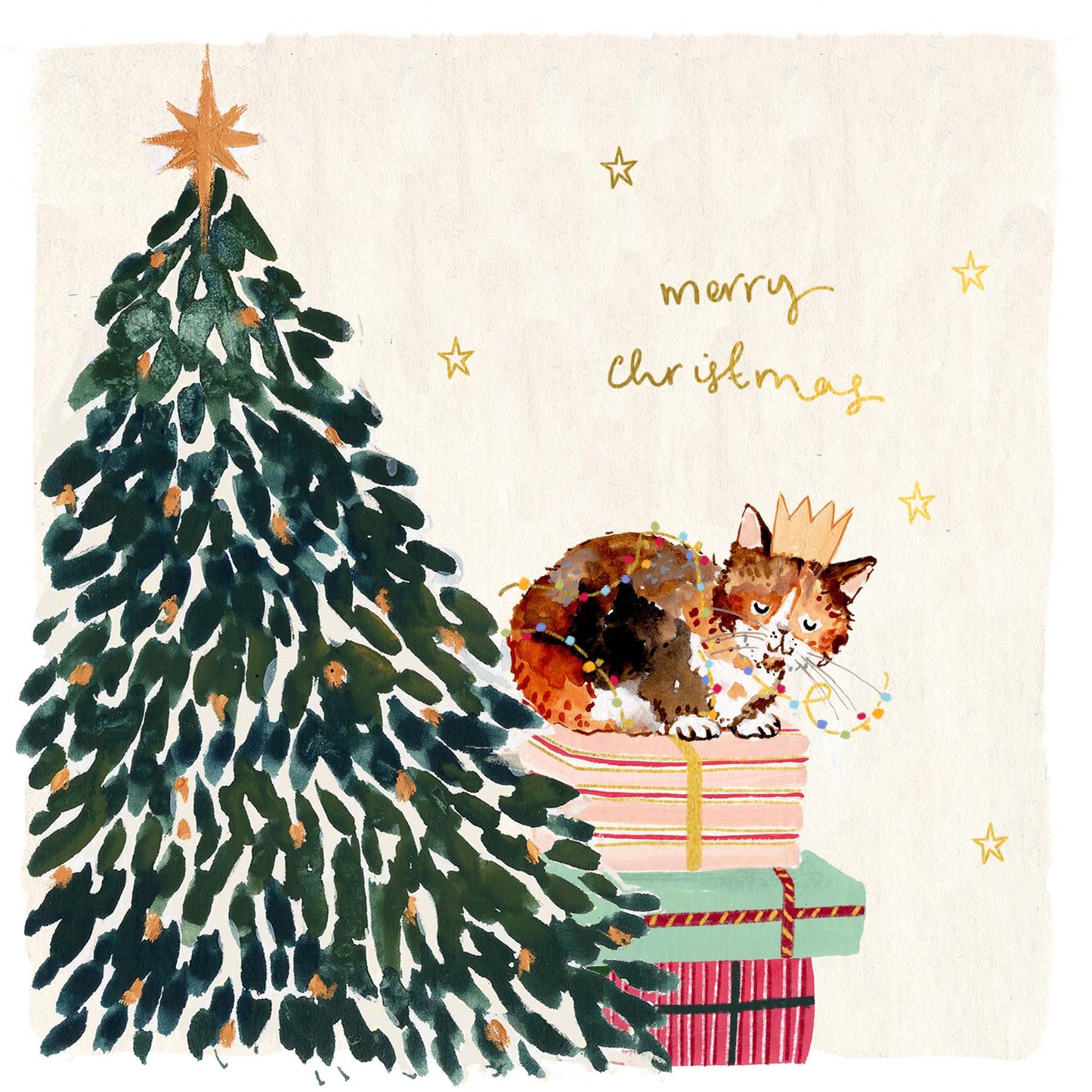 Cat And Presents Merry Christmas Card
