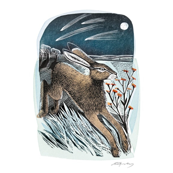 Deep Midwinter Boxed Holiday Cards