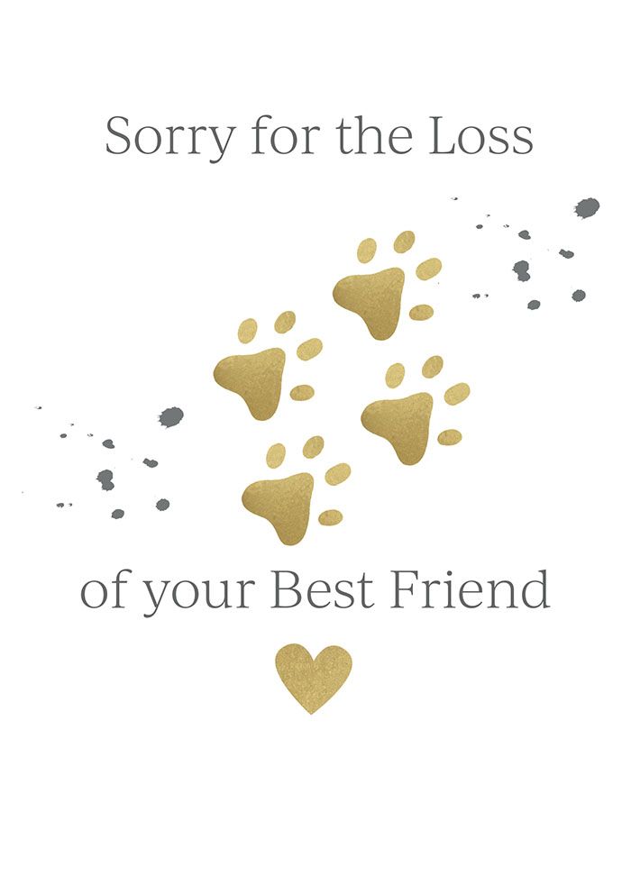 Pet, Loss Of Best Friend Card