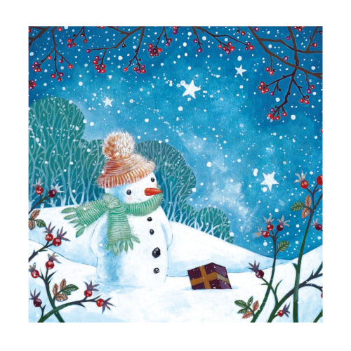 Snowman's Gift Boxed Holiday Cards