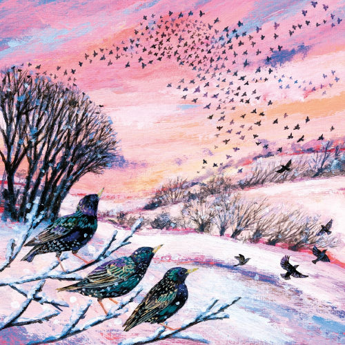 Winter Murmurations Boxed Holiday Cards