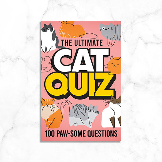 Cat Quiz Pet Game