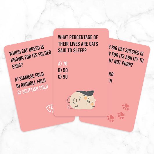 Cat Quiz Pet Game