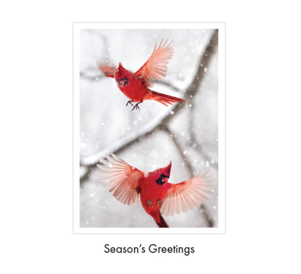 Pair of Red Cardinals Boxed Christmas Cards