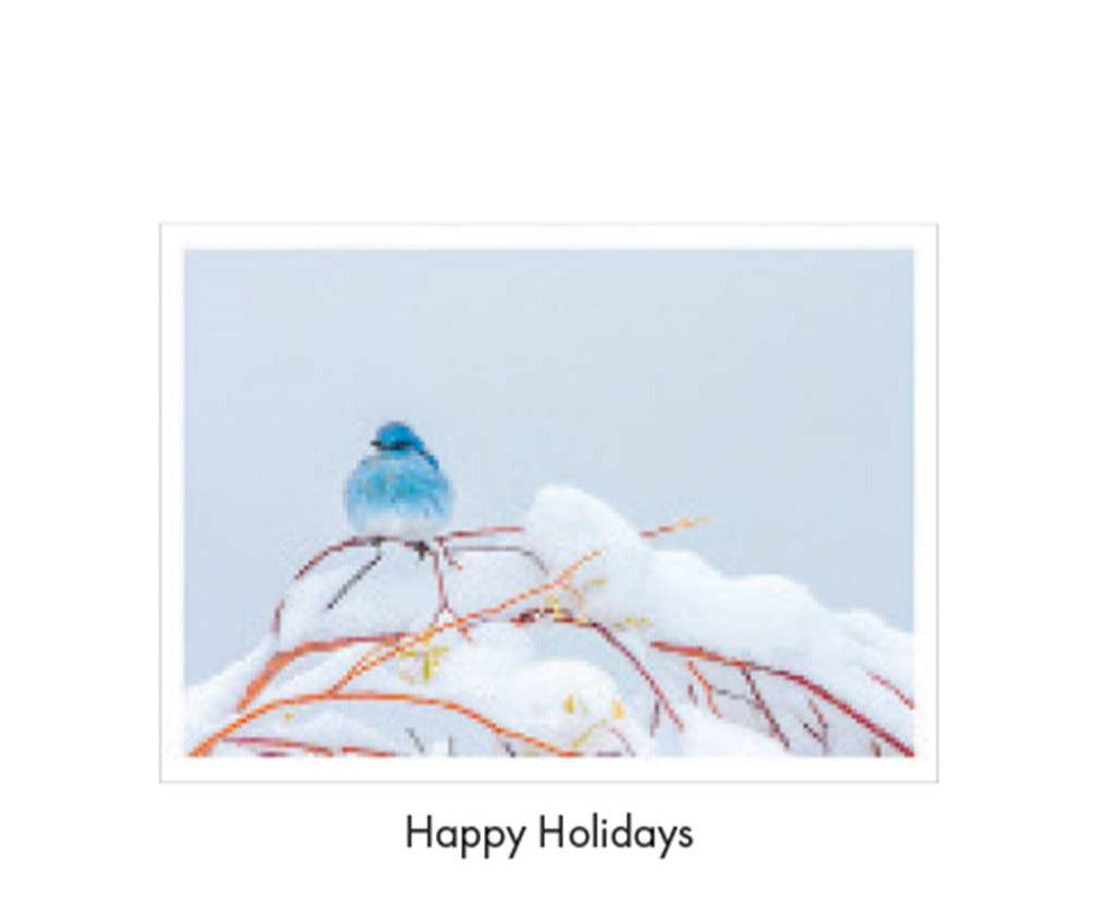 Blue Bird on Branch Boxed Christmas Cards