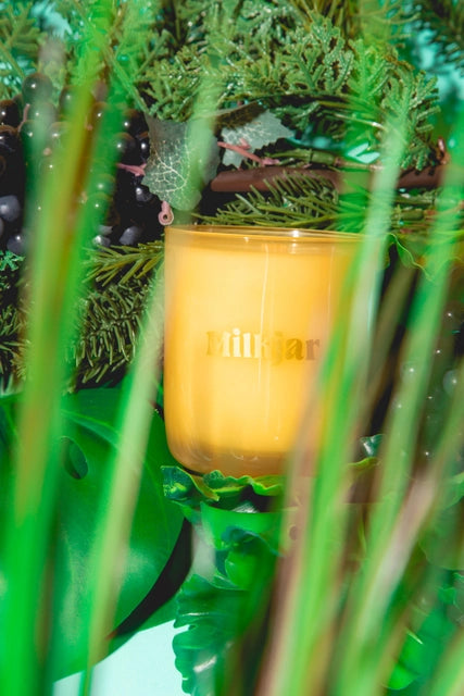 Garden State Cedar & Cassis Coconut Soy 8oz Candle