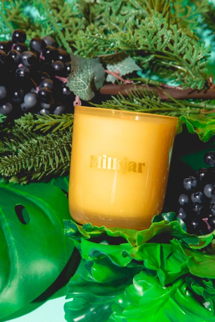 Garden State Cedar & Cassis Coconut Soy 8oz Candle