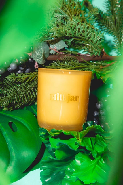 Garden State Cedar & Cassis Coconut Soy 8oz Candle