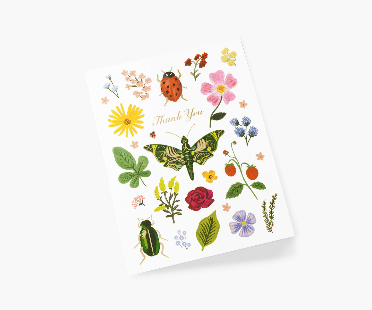 Curio Thank You Boxed Cards