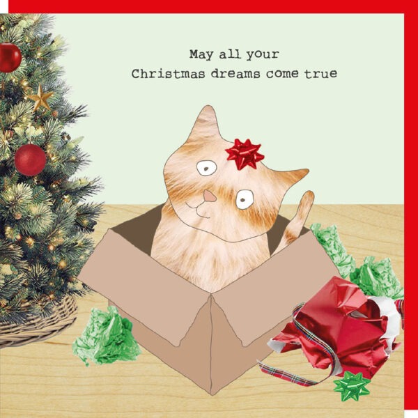 Christmas Dreams Card