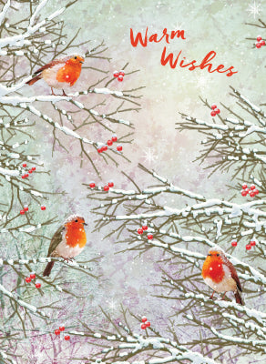 Warm Wishes Robins Card