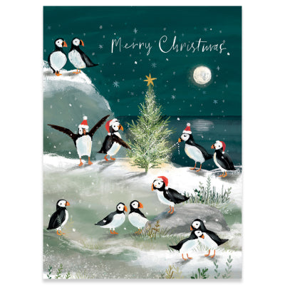 Puffins Christmas Card