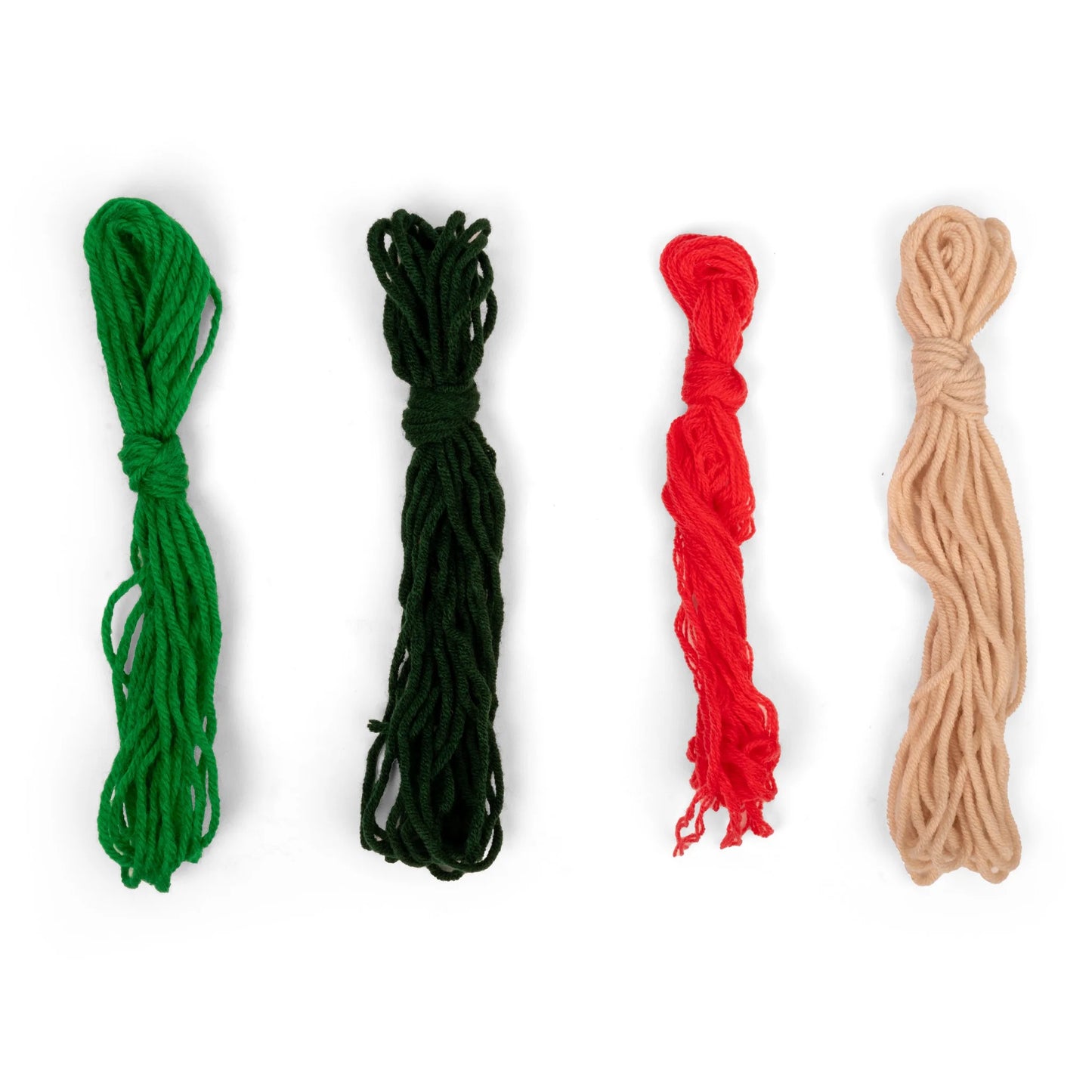 Punch Needle Kit Tulips