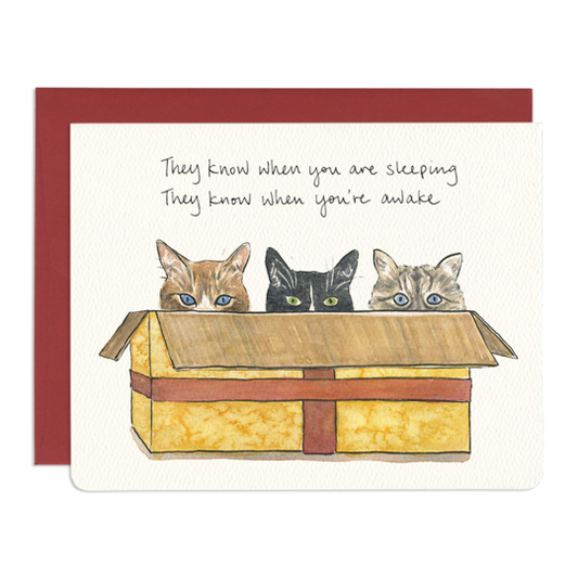 Cats In A Box Holiday Card