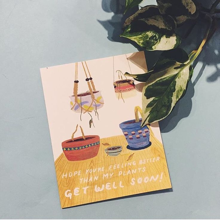 Better Than My Plants Card