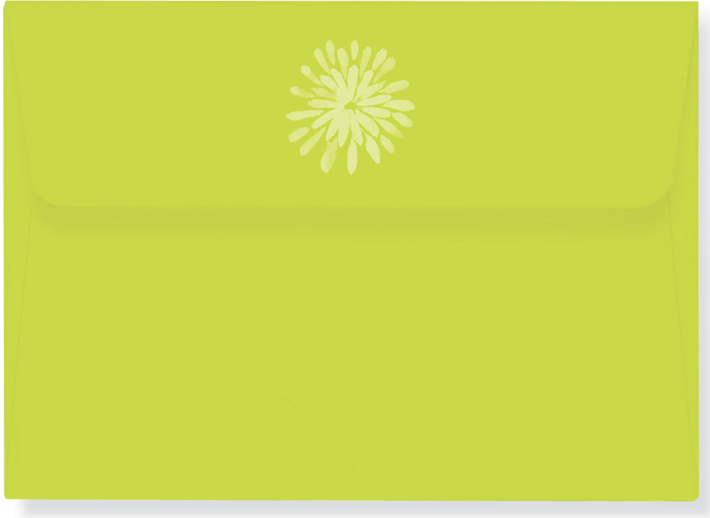 Watercolour Birds Blank Note Cards