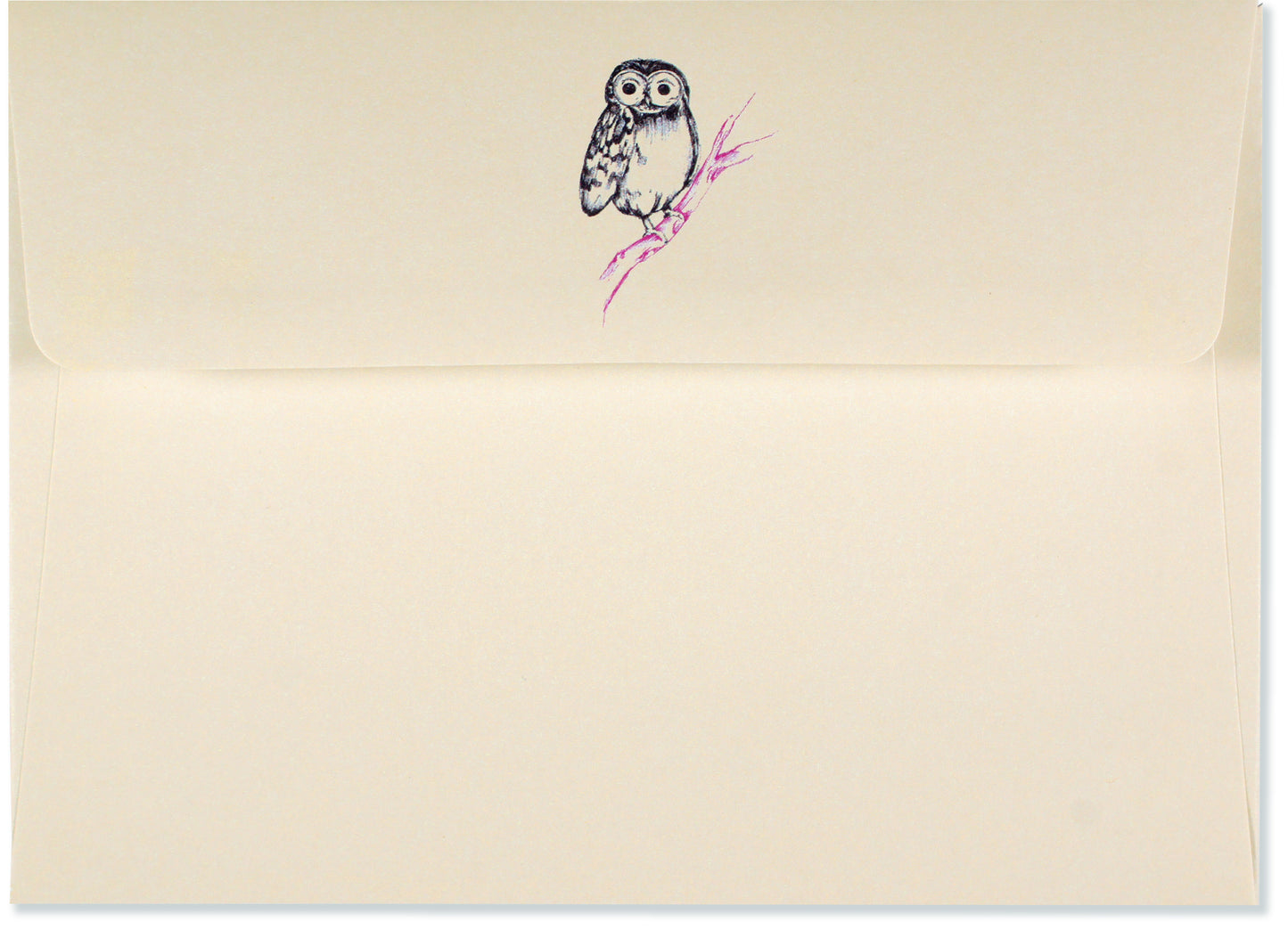 Owl Portrait Blank Boxed Cards