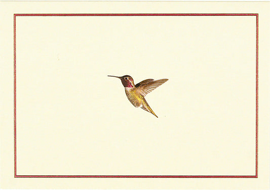 Hummingbird Flight Blank Boxed Cards